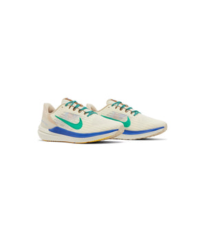 NIKE Women Pegasus Running Shoes