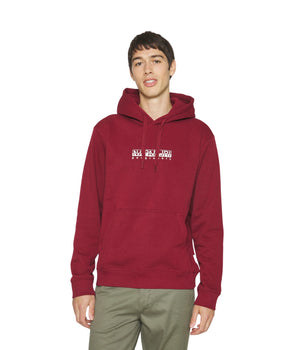 NAPAPIJRI Men Hoodie