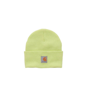 CARHARTT Unisex Warmth Winter Hat