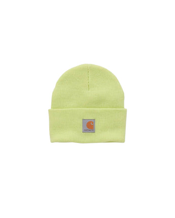 CARHARTT Unisex Warmth Winter Hat