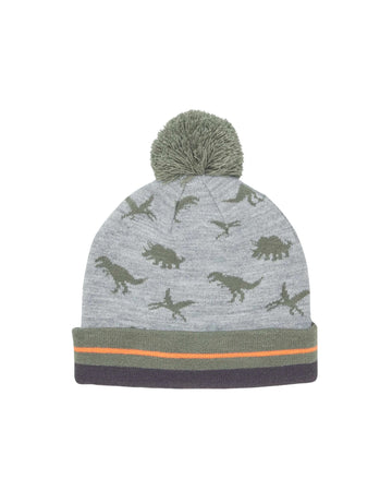 KIABI Boys Dinosaur Graphics Hats