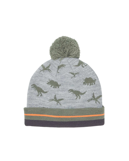 KIABI Boys Dinosaur Graphics Hats