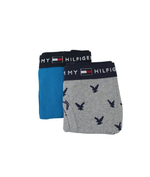 TOMMY HILFIGER Boys Graphics 2 Brief Boxer