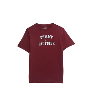 TOMMY HILFIGER Boys Logo T-Shirt