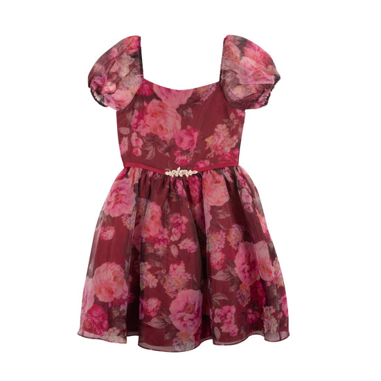 RARE EDITIONS Girls Floral Overlay Dress