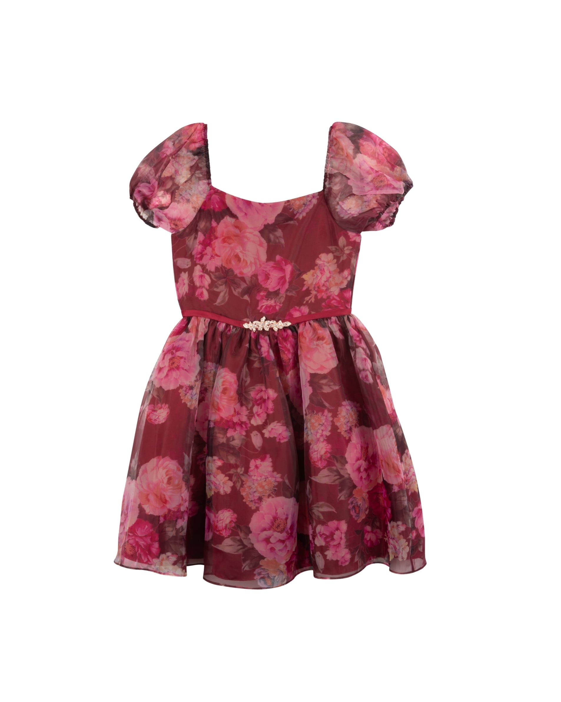 RARE EDITIONS Girls Floral Overlay Dress