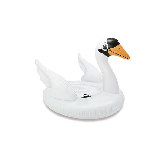 INTEX Floating Swimming Pool