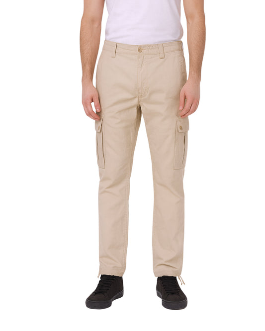AE AMERICAN EAGLE Men Lived In Cargo Pant