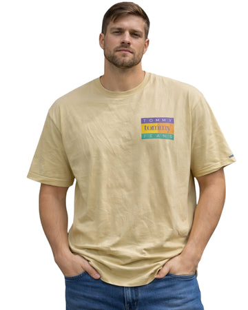 TOMMY HILFIGER Men Designed T-Shirt
