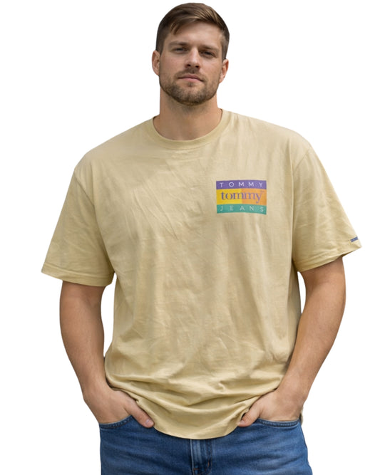 TOMMY HILFIGER Men Designed T-Shirt