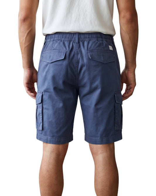 AMERICAN EAGLE Men Casual Short