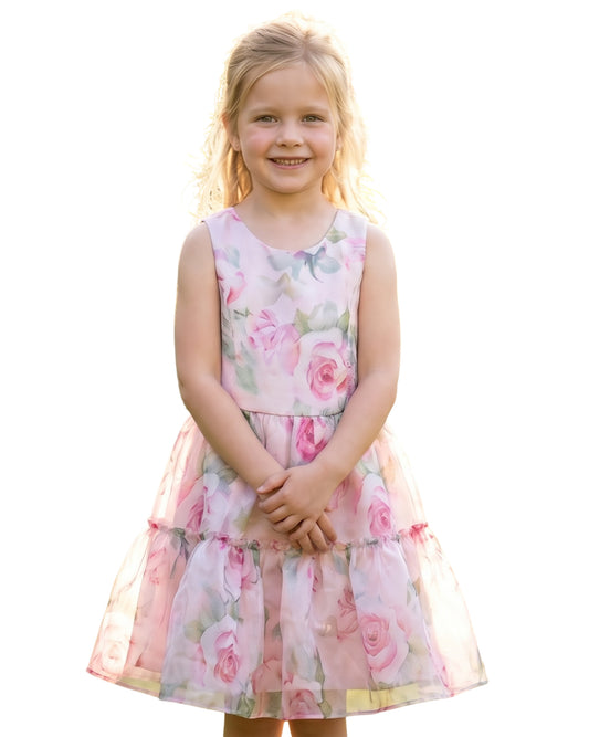 RARE EDITIONS Girls Floral Glitter Dress