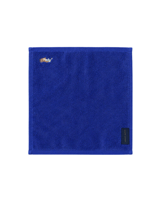 POLO RALPH LAUREN Premium Stripped Terry Hand Towel