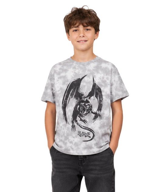 KIABI Kids Boys Designed T-Shirt