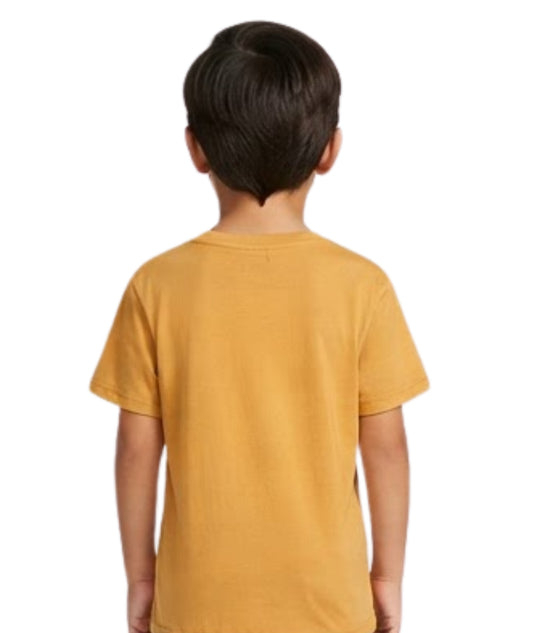 KIABI Kids Boys Dinosaur T_Shirt