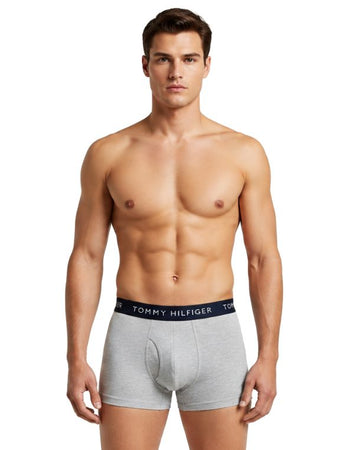 TOMMY HILFIGER Men 3 Packs Boxer Briefs