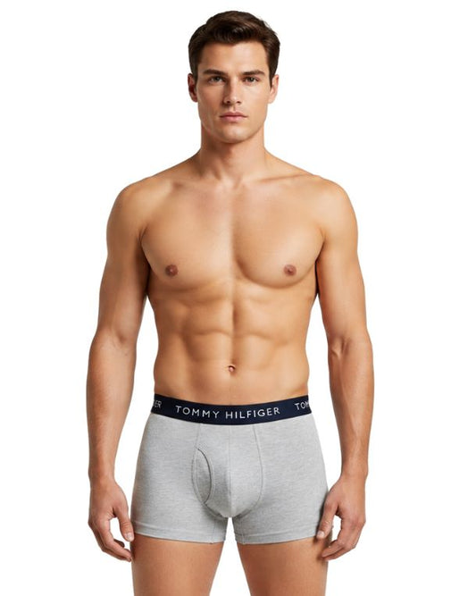 TOMMY HILFIGER Men 3 Packs Boxer Briefs