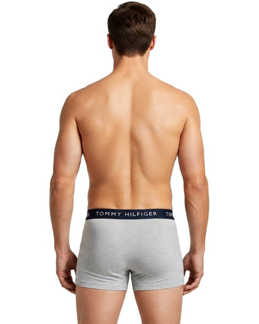 TOMMY HILFIGER Men 3 Packs Boxer Briefs