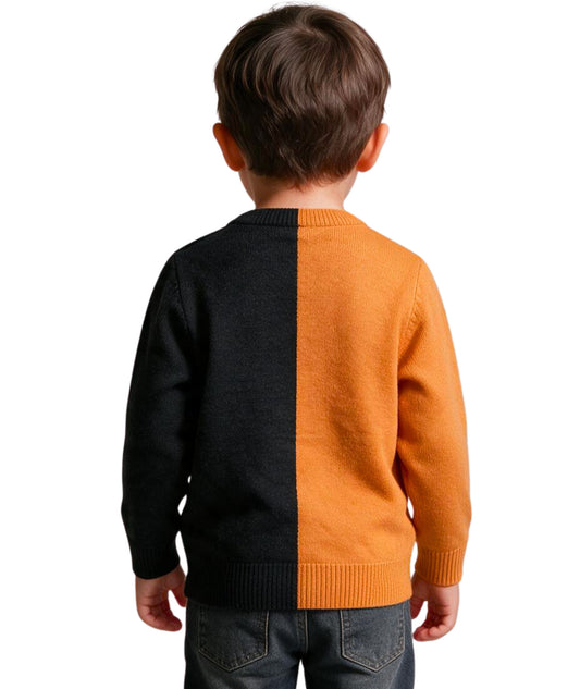 Baby Boys Divided Long Sleeve T-Shirt