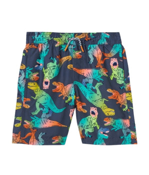 Boys Dino Print Volley Swim Trunks