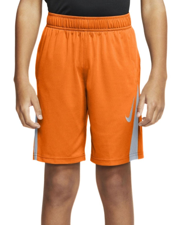 Boys Dri Fit Sport Short