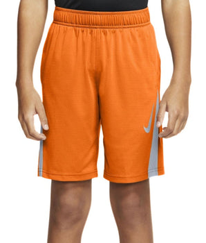 Boys Dri Fit Sport Short