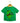 Boys Cool Dinosaur Graphis Swim T-Shirt