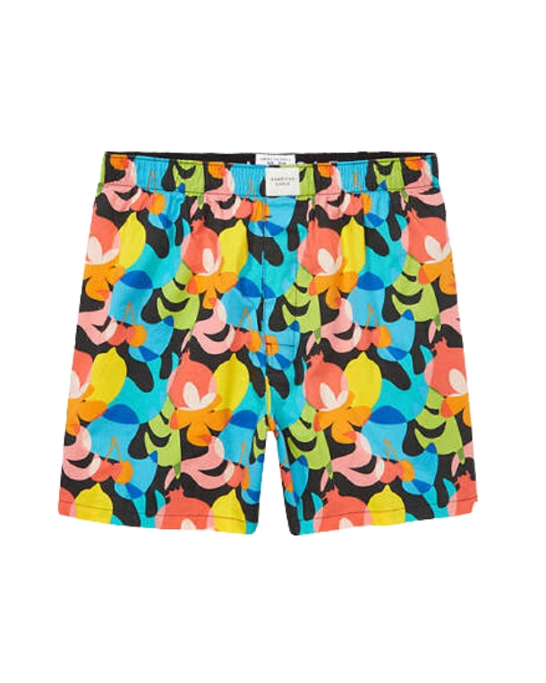 Men Allover Print Boxers