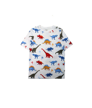 Boys Diansour Graphics T-Shirt