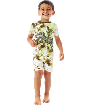 Boys Dinasour Mix Set Pyjama