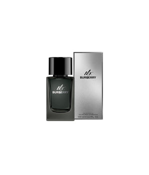 MR BURBERRY Men Natural Spray 100ml