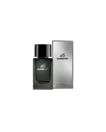 MR BURBERRY Men Natural Spray 100ml