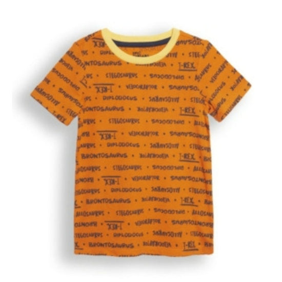 Boys Printed T-Shirt