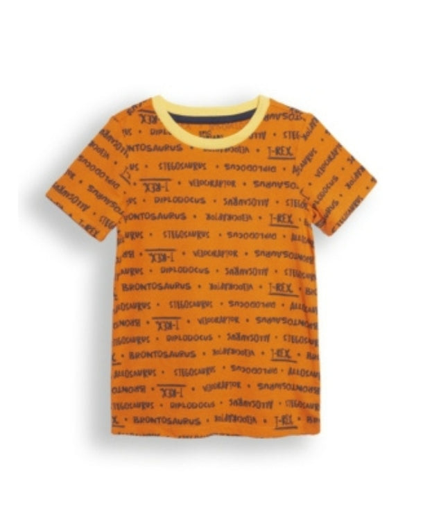 Boys Printed T-Shirt