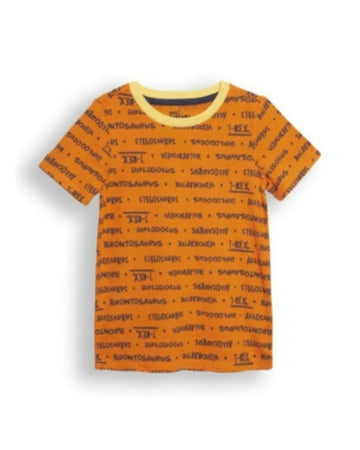 Boys Printed T-Shirt