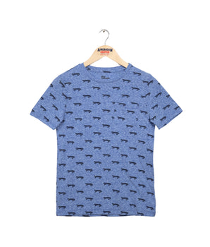 Boys Printed T-Shirt