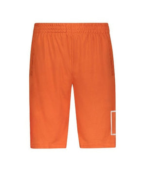 Boys Regular Short